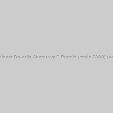Image of Recombinant Brucella Abortus rplF Protein (strain 2308) (aa 1-177)